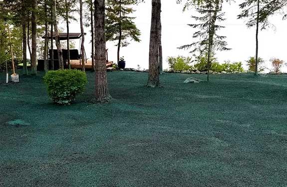 hyrdoseeding seed slurry mix of paper mulch and fertilizer covers a bare, unfinished yard on lakefront property