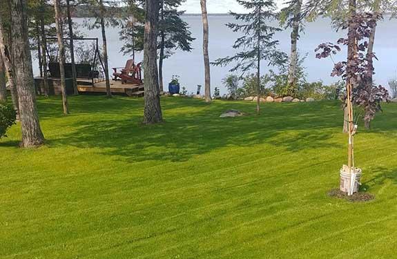Beautiful lawn of healthy grass now grows on a lakefront property that what was previously bare and unfinished yard