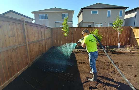 Man in bright green shirt spraying hydroseeding slurry on backyard lawn